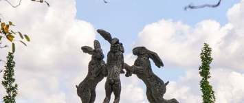 Dancing Hares
