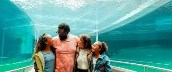 Family under aquarium