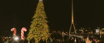 A giant Christmas tree lit up in front of the Dublin Link pedestrian bridge at night in Riverside Crossing Park
