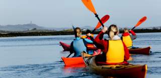 A group kayaking on Strangford Lough.