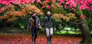 A couple walking through the trees at Westonbirt Arboretum - credit Johnny Hathaway