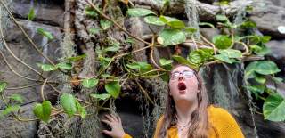 Bristol Aquarium plant October Half Term
