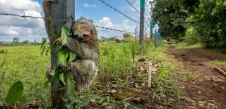 Wildlife Photographer of the Year image