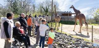 Families looking at giraffes at Bristol Zoo Project - credit Bristol Zoo Project