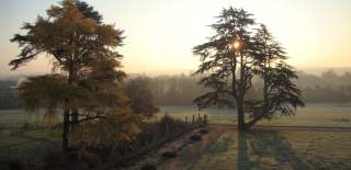 Sunrise at Ashton Court Estate - credit Bristol Parks