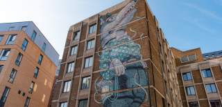 Wolf Boy by Aryz on Nelson Street - credit Bristol BID