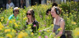 People sat among plants in Broad Meadow, Bristol - credit Bristol Shopping Quarter