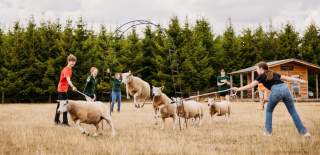 Teenagers dong sheep herding experience - credit Yuup