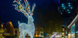 A giant light up reindeer in Quakers Friars - Credit Cabot Circus