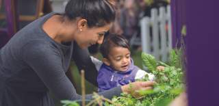 A mother and her small child exploring the indoor garden at the We The Curious science centre in Bristol - credit Paul Blakemore