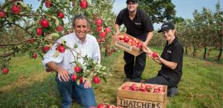 Thatchers Orchard Harvest