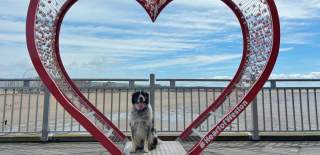 The Grand Pier Dog Friendly - Riley in Heart of Weston