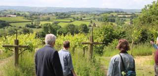 People standing at Limeburn Hill vineyard in North Somerset near Bristol with GOOD Stories in Food tour - credit Visit West