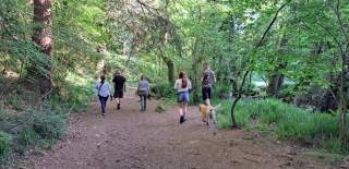 A family with a dog walking in woodland in Bristol - credit Jon Chamberlain