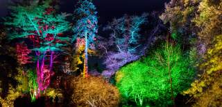 Lit up colourful trees at Westonbirt - Credit Paul Groom