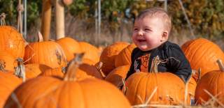 Child at Cotswold Farm Park's Pumpkin Patch