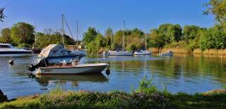 Boats in the harbour
