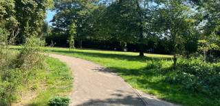 Open green space at Druitt Gardens