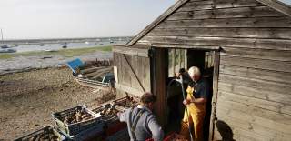 Fishermen washing the oysters at Mersea Island
