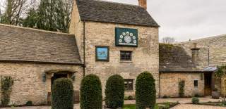 The Wild Duck