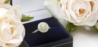 A stunning engagement ring in a box surrounded by pale pink roses