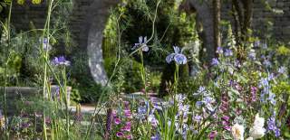RHS Badminton Flower Show