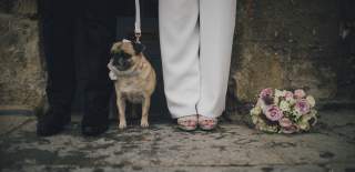 The legs and feet of a bride and groom, as they stand by a wall with a pug dog, wearing a bow. The bride's wedding bouquet lies on the floor next to her feet.