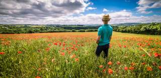 A man wearing a straw Panama hat and standing in a field of poppies, faces away from the camera, admiring the view