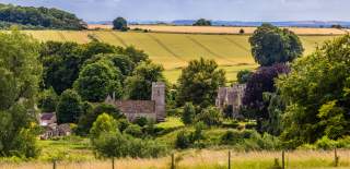 A summer view across the fields towards Asthall