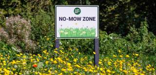 Bright yellow wildflowers surround a No-Mow Zone sign at The Cotswold Range
