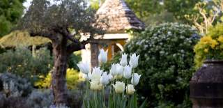 Spring Walks at Highgrove