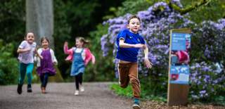 Westonbirt this Spring