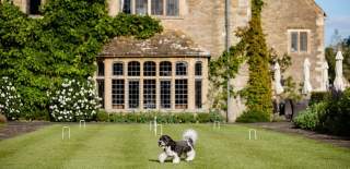 A small dog walks across a croquet lawn in front of Whatley Manor, a luxury hotel in Malmesbury