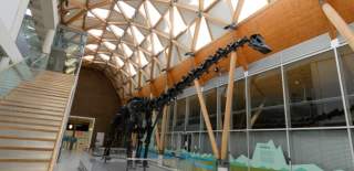 Dippy the Dinosaur
