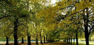 Coventry Parks