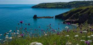 Berry Head English Riviera Geopark