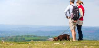 view of The Blackdown Hills Area of Outstanding Natural Beauty