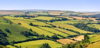 Devon Fact Sheets