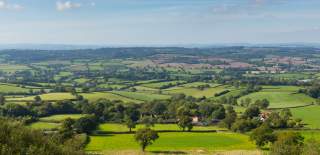 Honiton East Devon