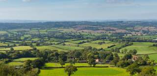 Honiton Free things to do