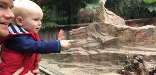 Exmoor Zoo Comp