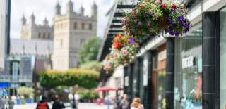 Hanging flower baskets lining a busy pedestrian street with blurred people walking. A historic building with towers is visible in the sunny background.
