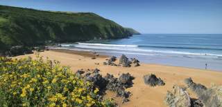 summer parties in devon