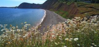 sustainable shorelines