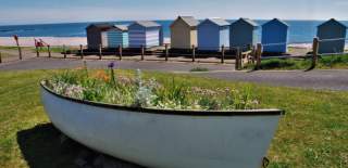 Embark on an eco adventure