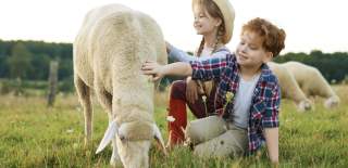 Two smiling children, a boy and a girl, pet a sheep in a sunny field. The girl in a straw hat kneels, while the boy, in plaid, reaches out joyfully.