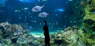 Aquarium, kids