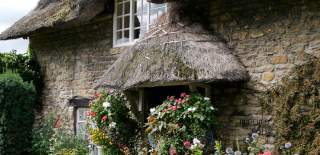 thatched cottage ottery