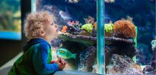 Aquarium