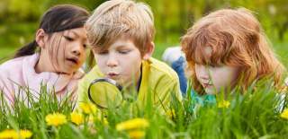 Children, Nature, Activity, Summer